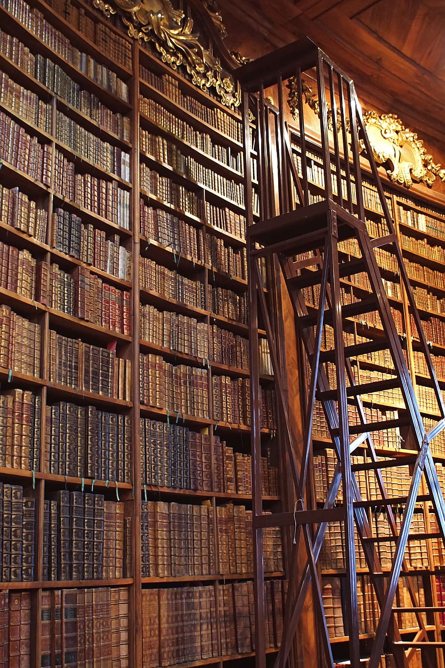 brown wooden ladder beside bookshelf inside the library, vienna, HD wallpaper