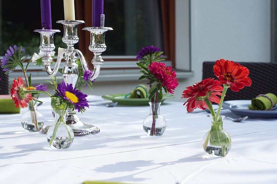 gedeckter table, flowers, summer, covered, flowering plant HD wallpaper
