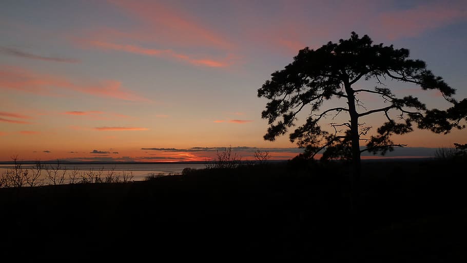 Winter, Sunset, Lake, Lake Balaton, nature, silhouette, tree HD wallpaper