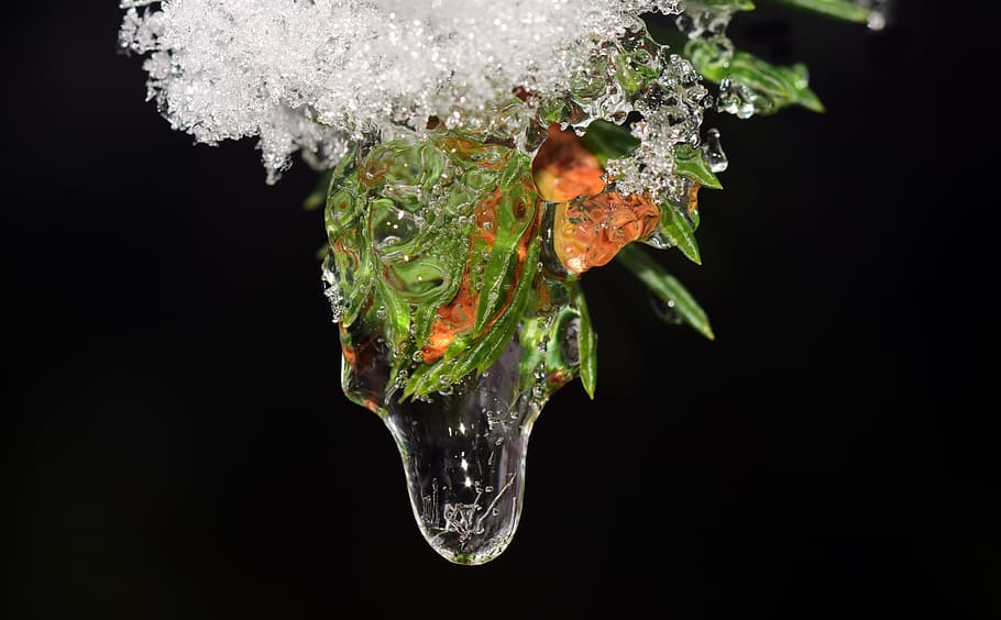drip, frozen, ice, cold, winter, snow, iced, frosty, icicle HD wallpaper