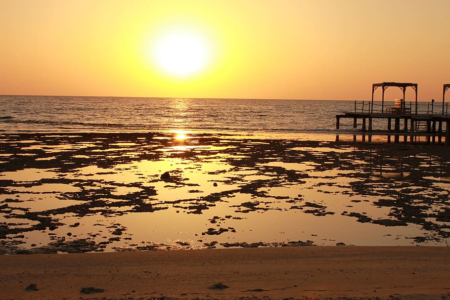 ebb, sea, beach, sky, sunset, water, horizon, beauty in nature HD wallpaper