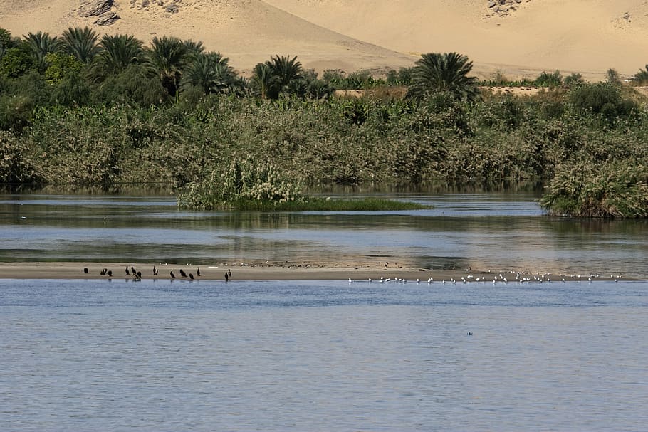 nile, egypt, tranquil, river, sand dunes, landscape, oasis HD wallpaper
