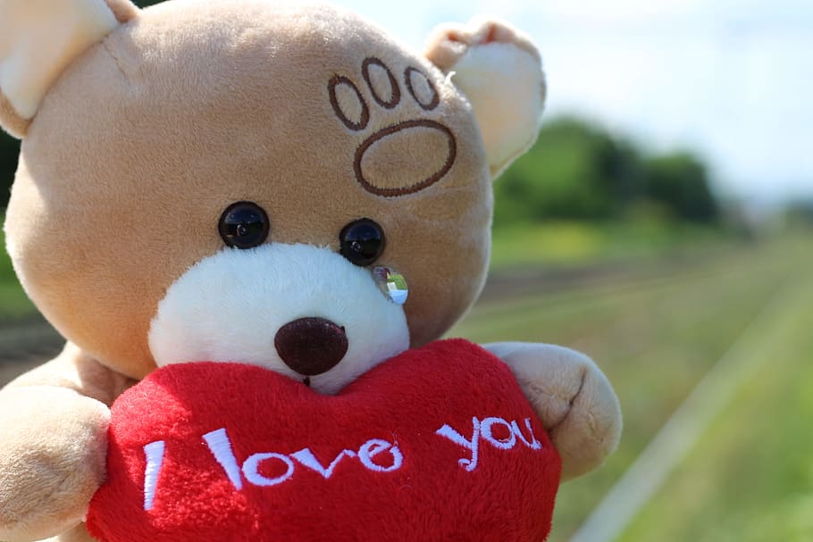 selective focus photography of bear holding heart plush toy, stop children suicide