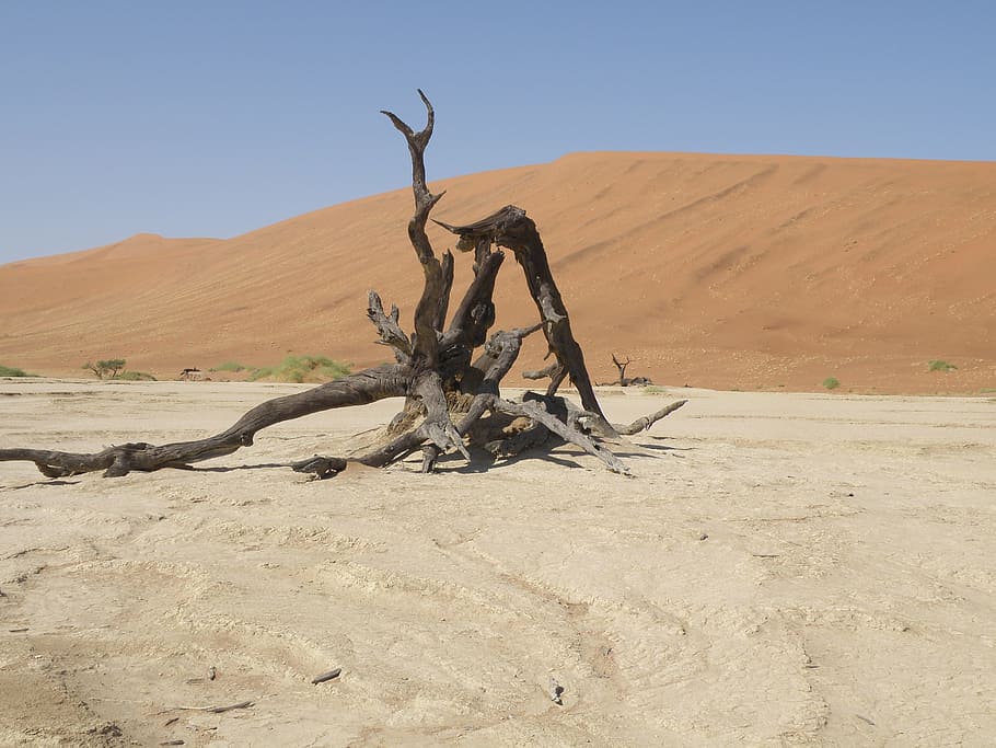 dunes, namibia, desert, landscape, climate, scenics - nature HD wallpaper