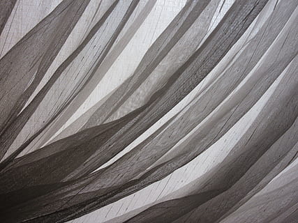 curtain, window, tissue, fabric, web, transparent, translucent HD wallpaper