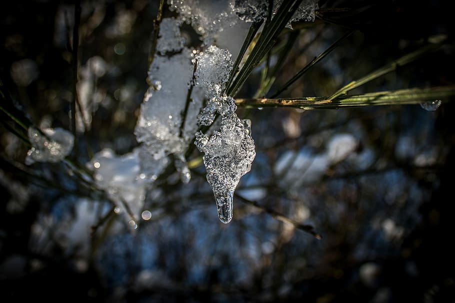 Ice, Drop, Frozen, Winter, Cold, Water, ice drop, transparent HD wallpaper