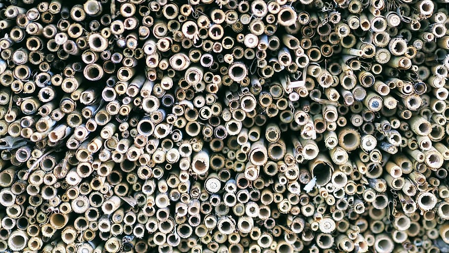 brown tube pipe lot, flat lay photography of bamboo sticks, rolls HD wallpaper