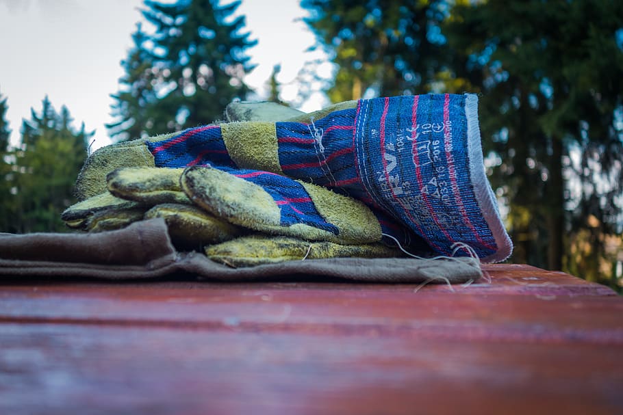 work gloves, wood, construction work, forest, close up, tree HD wallpaper