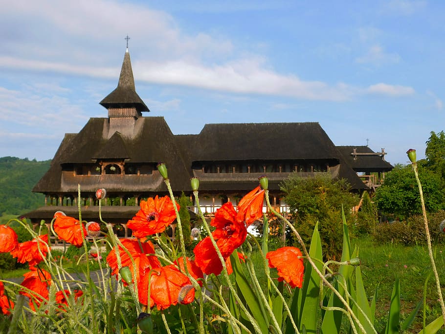 Monastery, Barsana, Romania, architecture, religion, architectural HD wallpaper