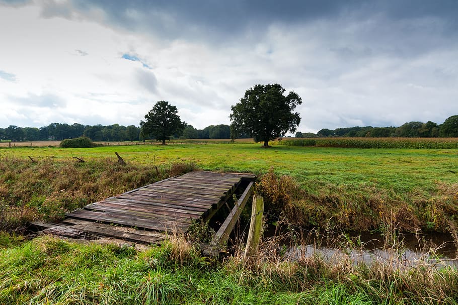 Bridge, Bach, Landscape, North, lane, lower saxony, germany HD wallpaper