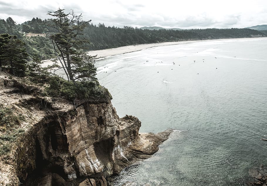 sea, ocean, water, waves, nature, rock, hill, ridge, tree, plant HD wallpaper
