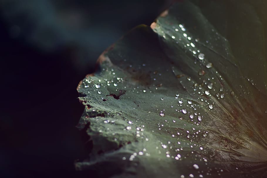 cold, light, nature, art, abstract, background, blur, close-up HD wallpaper