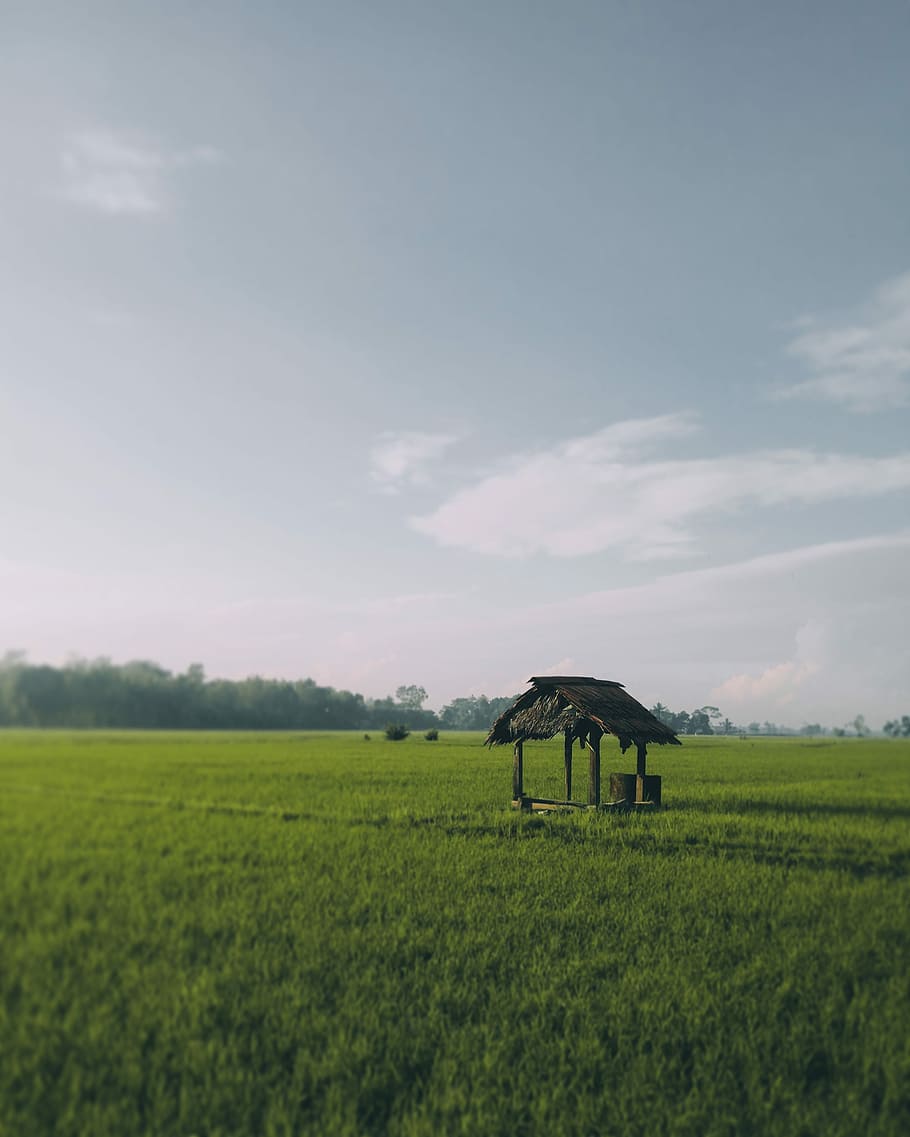 Wind chil, photo of brown wooden shed in green grass field during daytime HD wallpaper