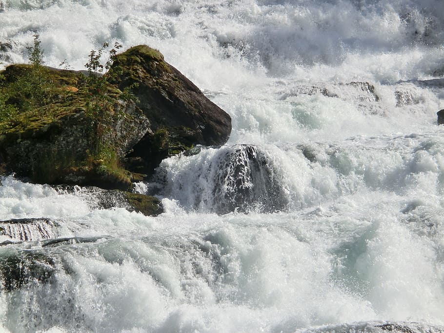 waterfall, stone, cow, wild, roar, murmur, rock, norway, nature HD wallpaper