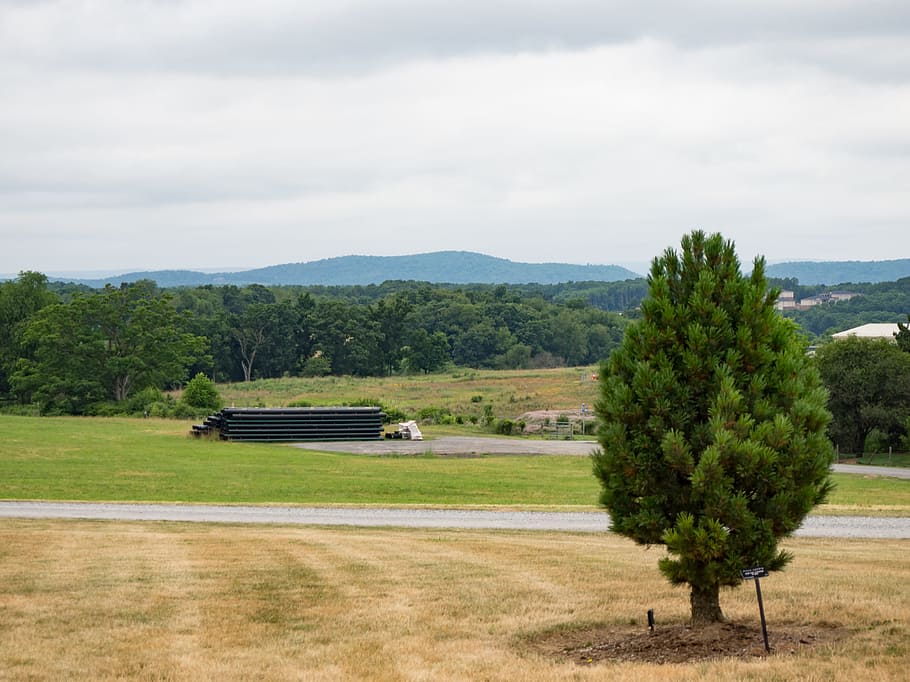 Landscape with Tree and Mountains, forest, grass, Landscapes HD wallpaper