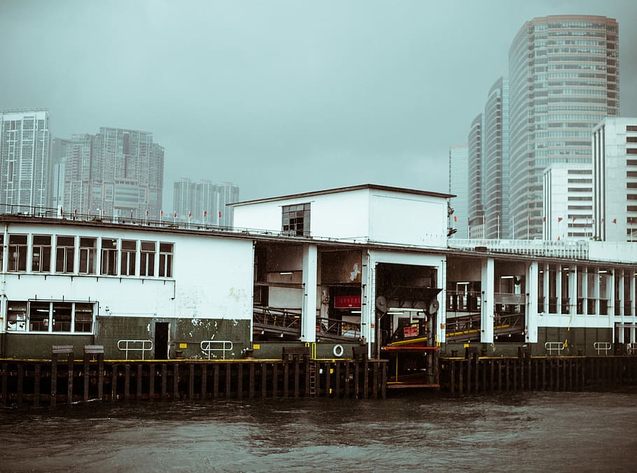 Hong Kong Harbour, landscape photography of white building near body of water at daytime HD wallpaper