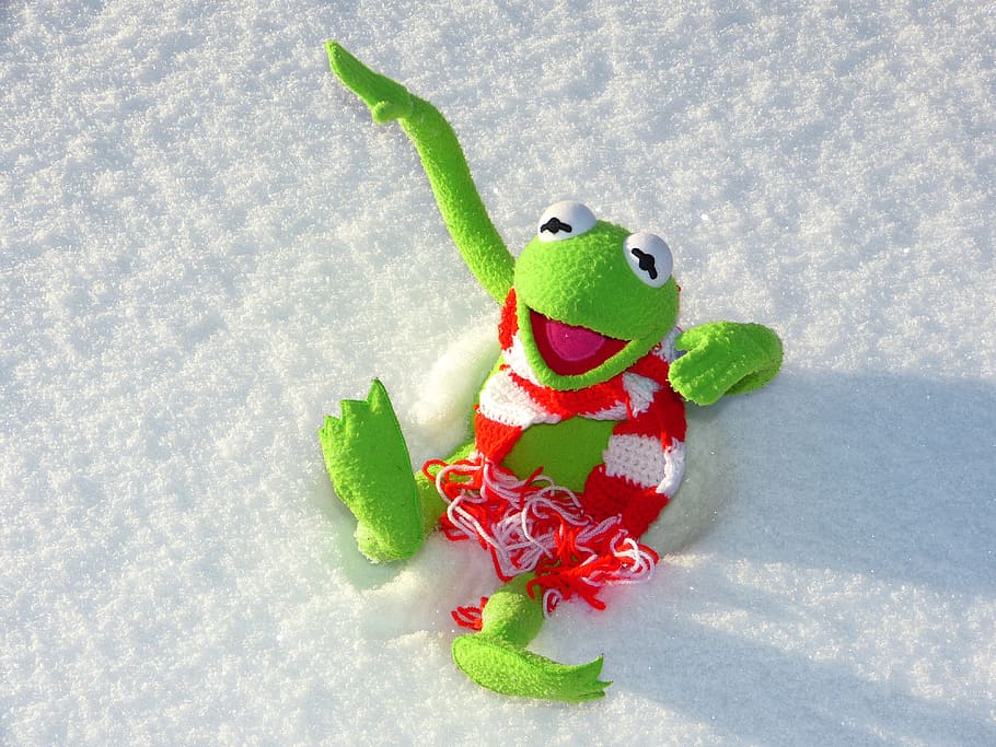 green tree frog plush toy on snow, kermit, fun, winter, cold