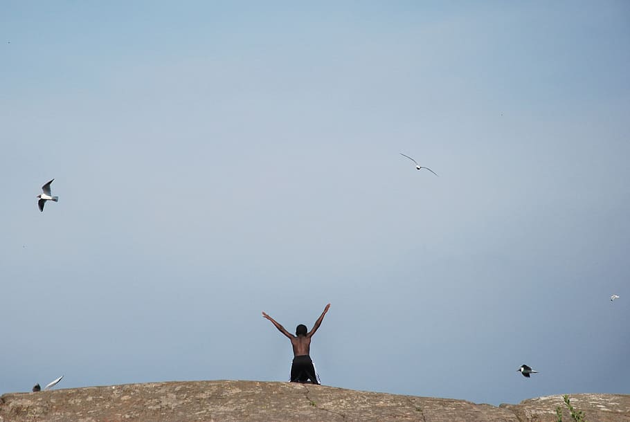 Birds, Lake, Sea, Fly, Clouds, Flock, sky, heaven, human arm, HD wallpaper