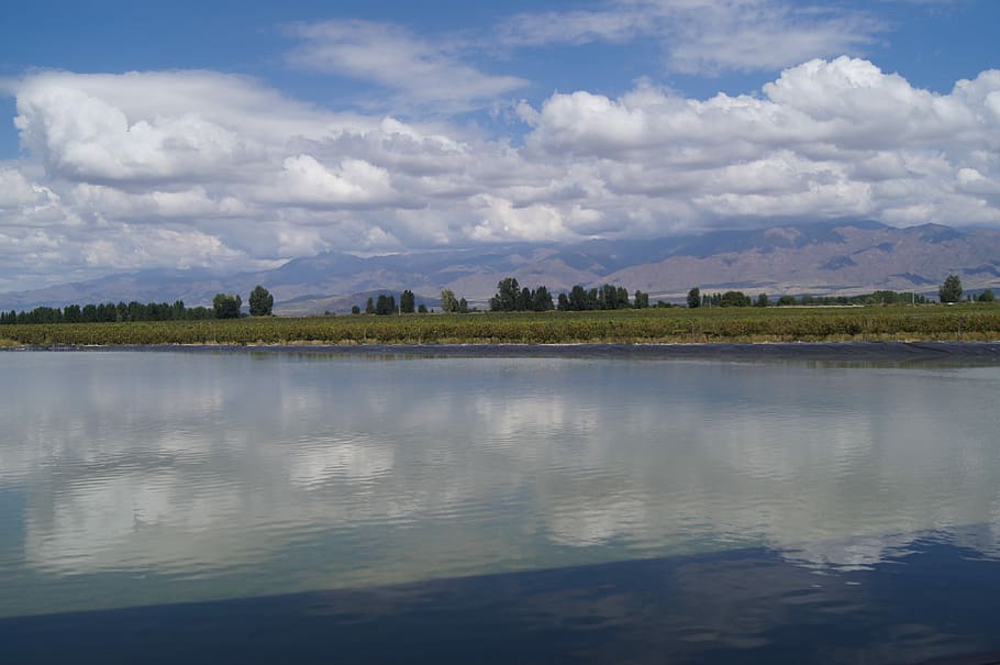 Vineyard, Mendoza, Wine, Argentina, landscape, lake, clouds, HD wallpaper