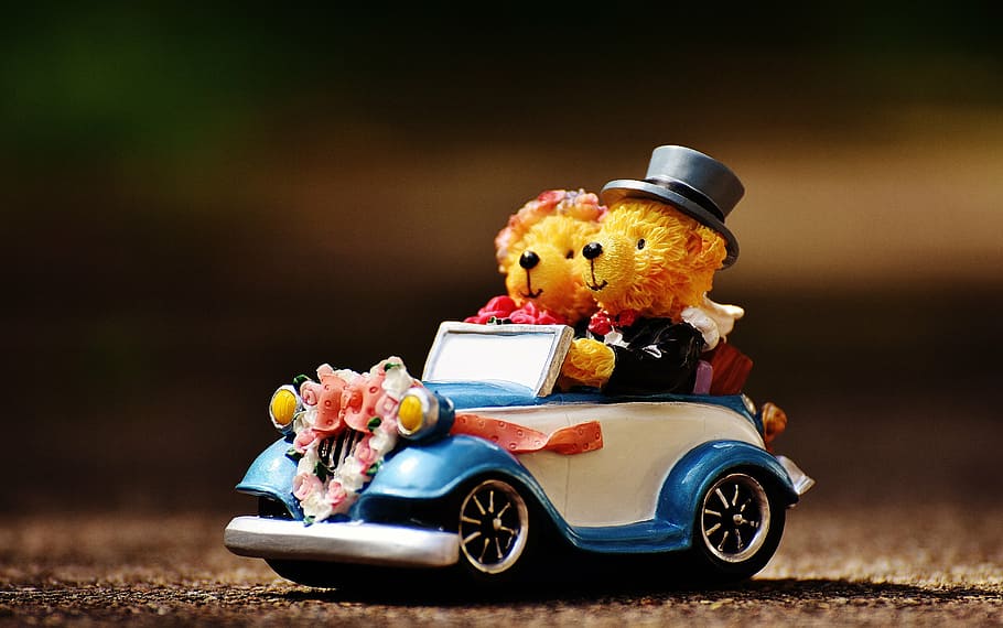 blue and white ceramic figurine, wedding, bear, figures, funny HD wallpaper