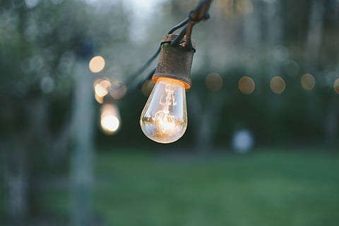 shallow focus photography of yellow string lights, focused photography of lighted light bulb HD wallpaper