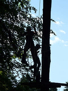 High Ropes Course, Obstacle, Climb, drex, forest ropes, climbing garden HD wallpaper