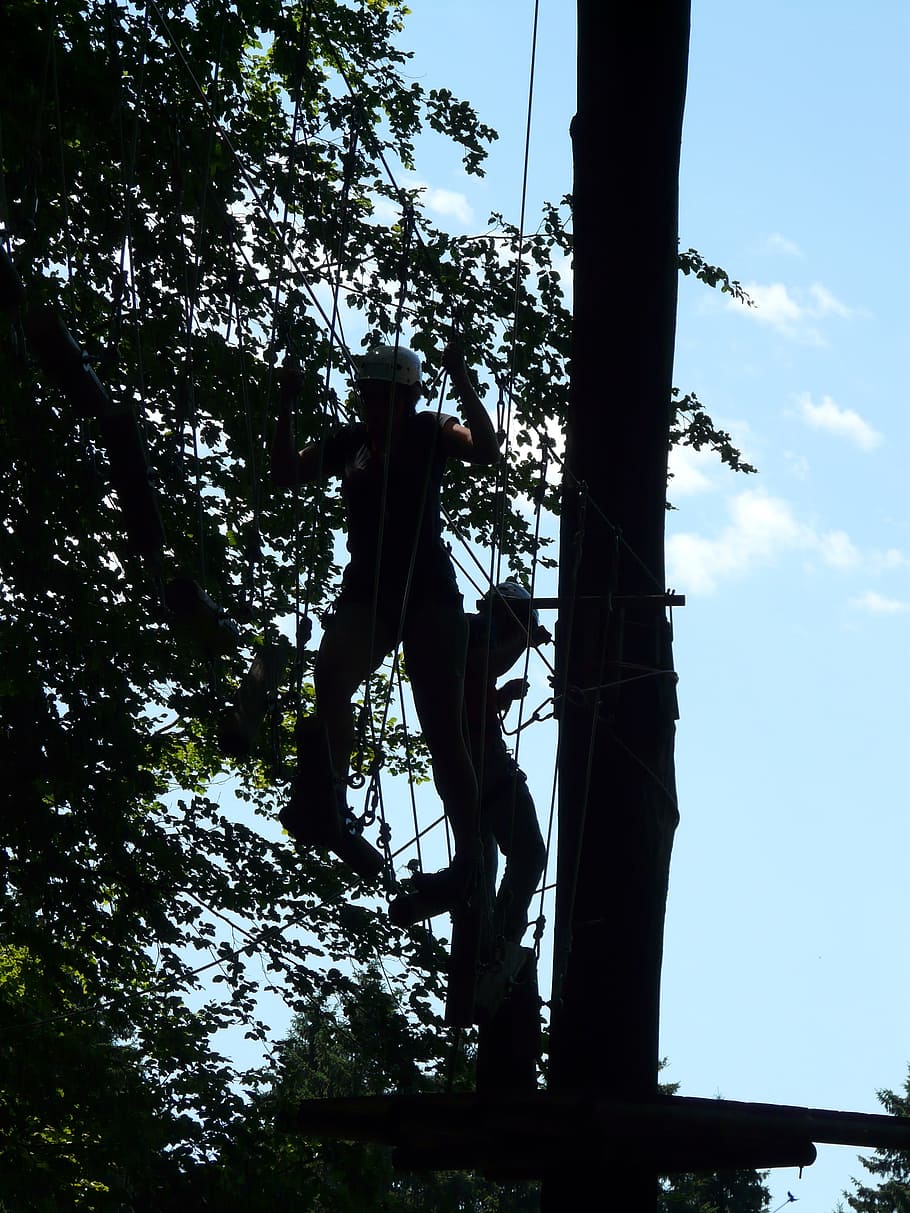 High Ropes Course, Obstacle, Climb, drex, forest ropes, climbing garden HD wallpaper