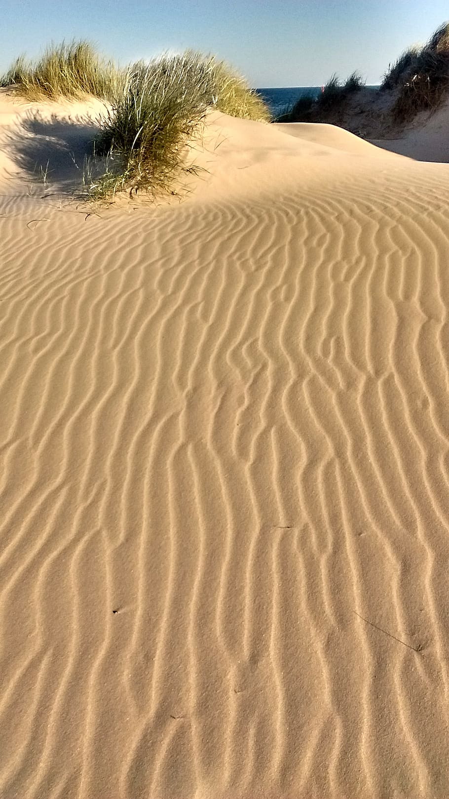 dune, sand, landscape, summer, france, sea, beach, golden sand HD wallpaper