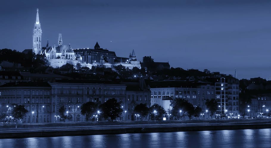 grayscale photography of lamp post on road, budapest, hungary HD wallpaper