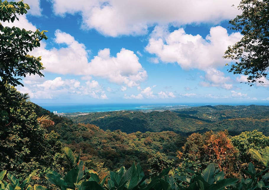 landscape photography of green mountains, top, view, daytime, HD wallpaper