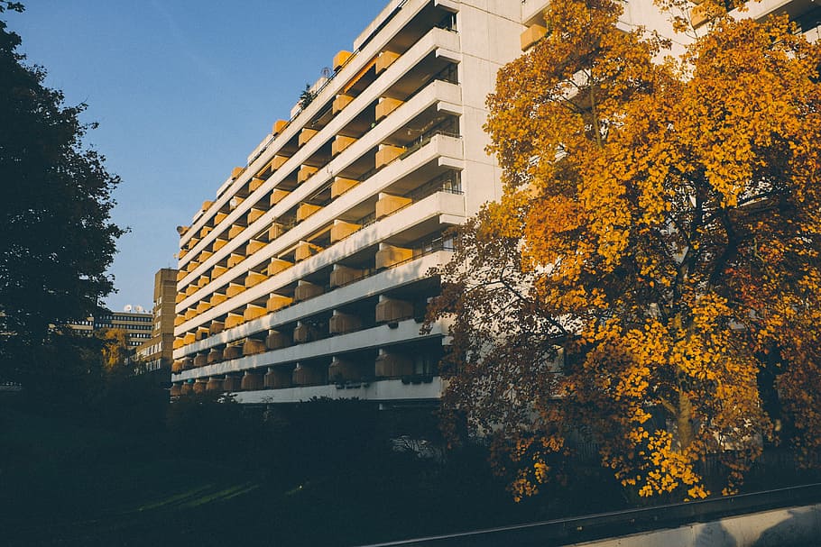 Modern apartment building, architecture and Cityscape, tree, outdoors HD wallpaper