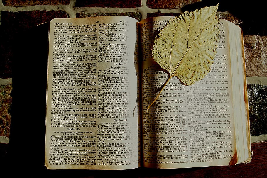 opened book with leaf bookmark, bible, dried leaf, christian HD wallpaper