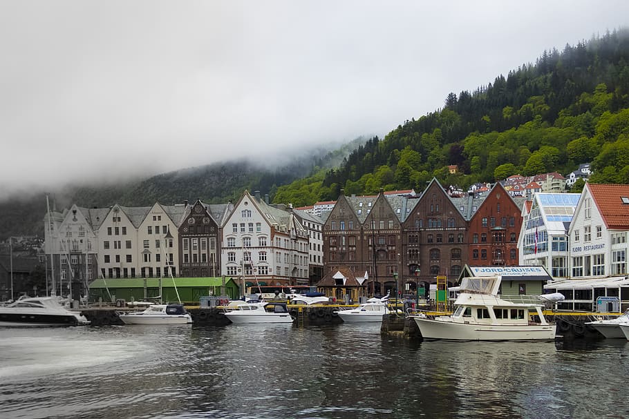 norway, bergen, summer, port, sea, holidays, ship, water, tourism, HD wallpaper