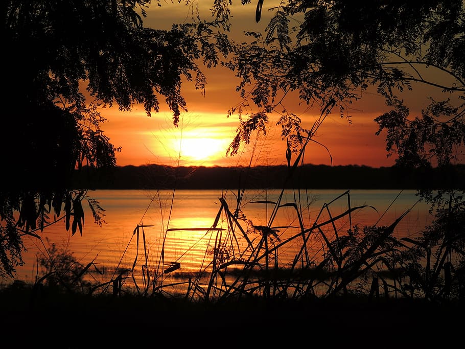 sunset, sol, landscape, reflection, tree, silhouette, scenics HD wallpaper