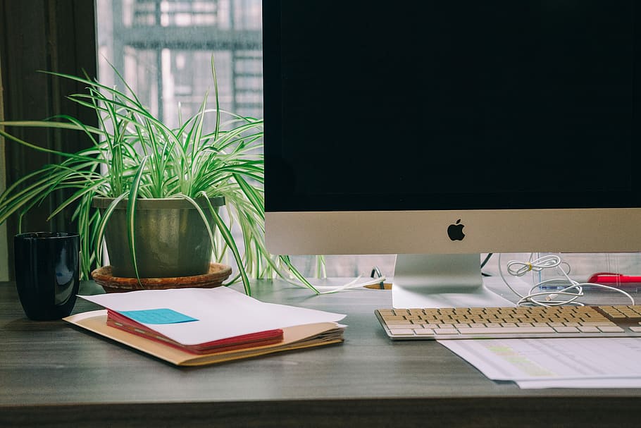 white folder on tabletop, ], furniture, plant, potted plant, no people HD wallpaper