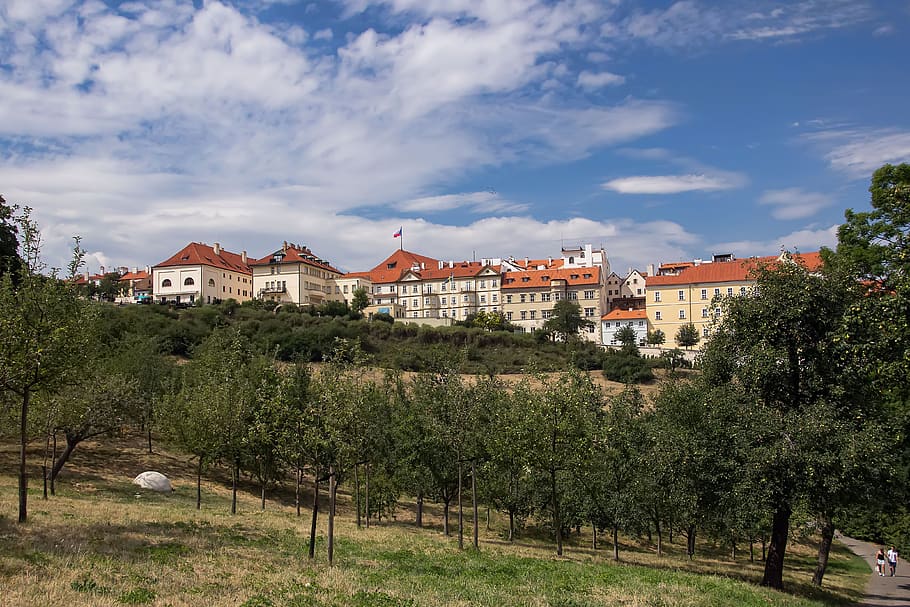 prague, czech, úvoz, view, park, tree, plant, building exterior HD wallpaper