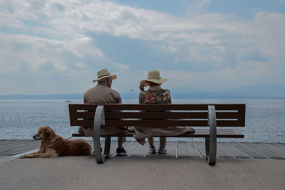 bench, boardwalk, clouds, dog, ocean, people, sea, seashore HD wallpaper