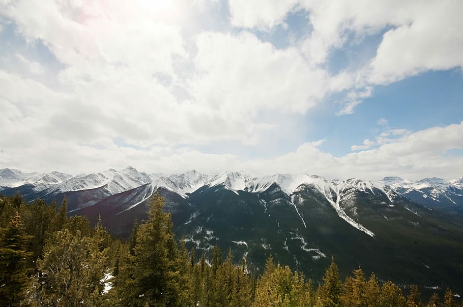 field of trees near mountain range, snow-covered mountains under cloudy sky HD wallpaper