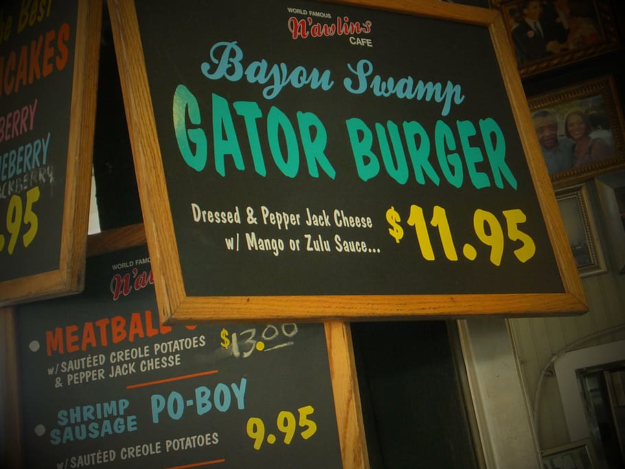 Bayou Swamp Gator Buger sirg, french quarters, gator burger, new orleans