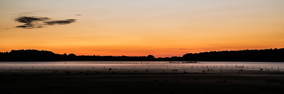 Panorama, Sunset, Forest, Sheep, Meadow, abendstimmung, sky HD wallpaper