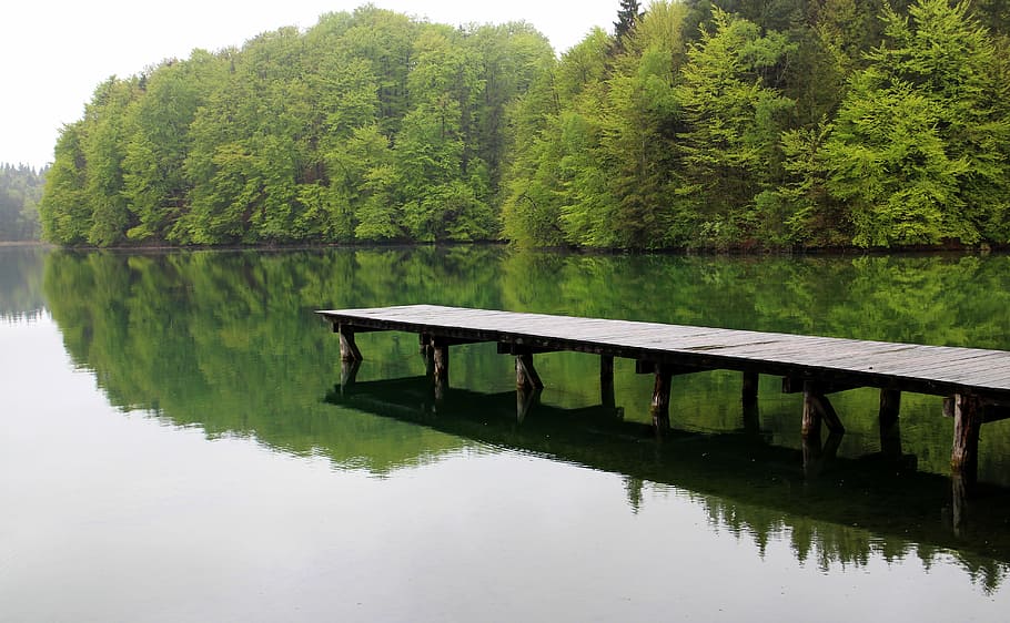 lake, waters, web, mood, still, silent, rest, reflection, tree HD wallpaper