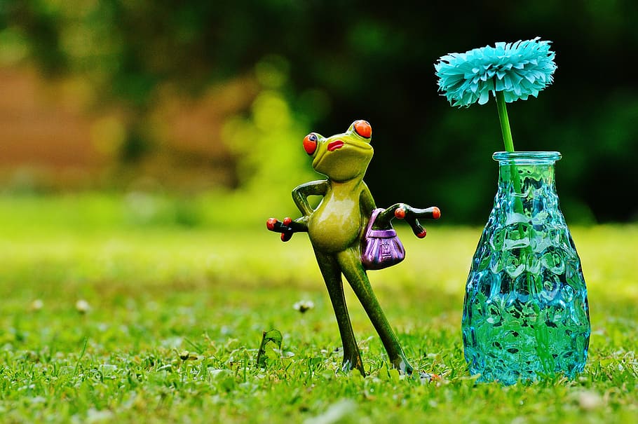 vase, flower, frog, funny, cute, sweet, meadow, figure, art stone HD wallpaper