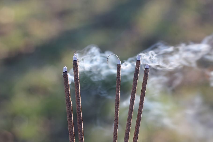 five brown incense sticks, smoke, blow, focus on foreground, no people, HD wallpaper