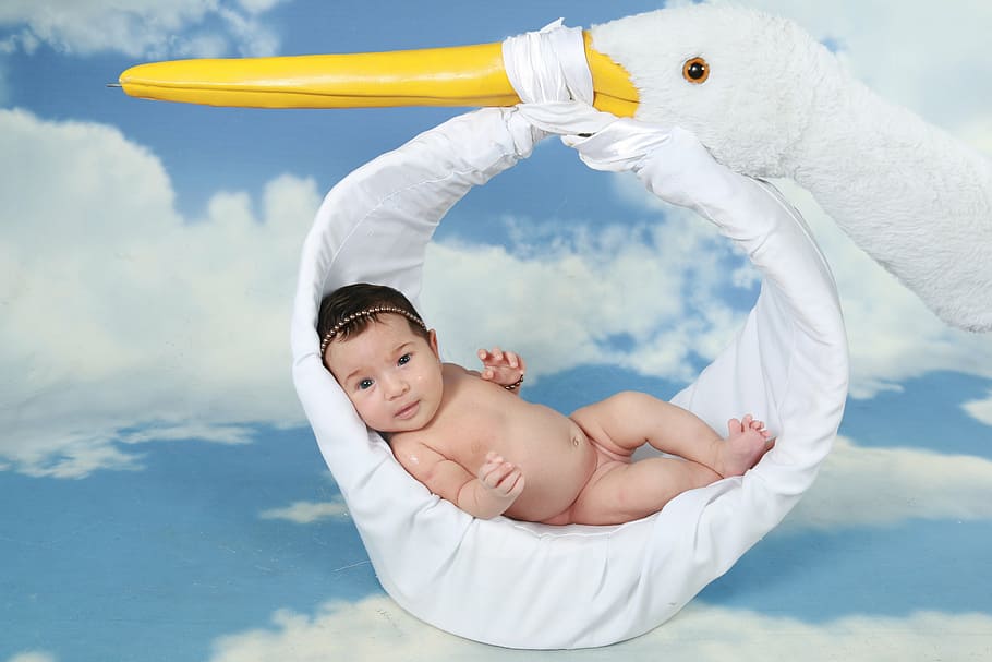 baby in portable hammock, stork, girl, linda, newborn, tenderness, HD wallpaper
