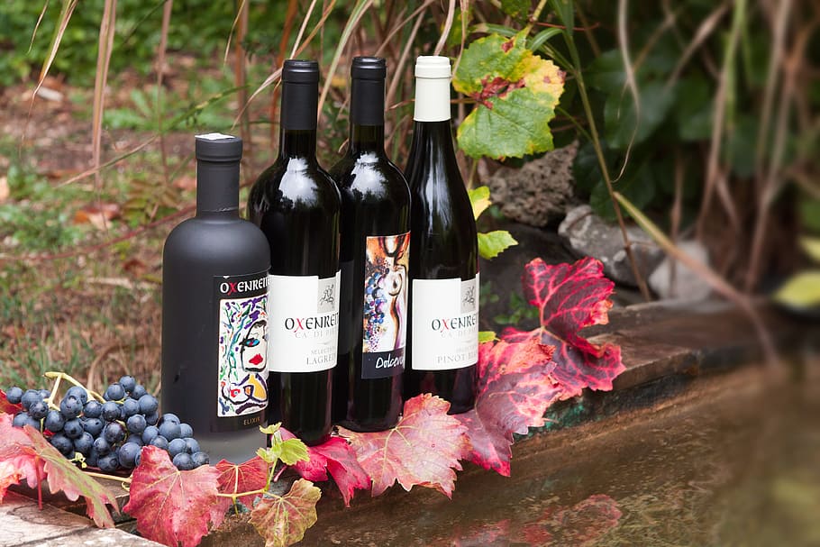 four wine bottles on panel beside purple grapes, label, leaf HD wallpaper
