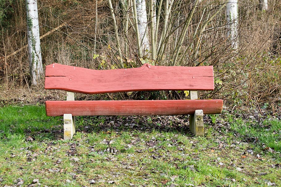bank, sit, wanderer, out, trail, seat, bench, nature, wood - Material HD wallpaper