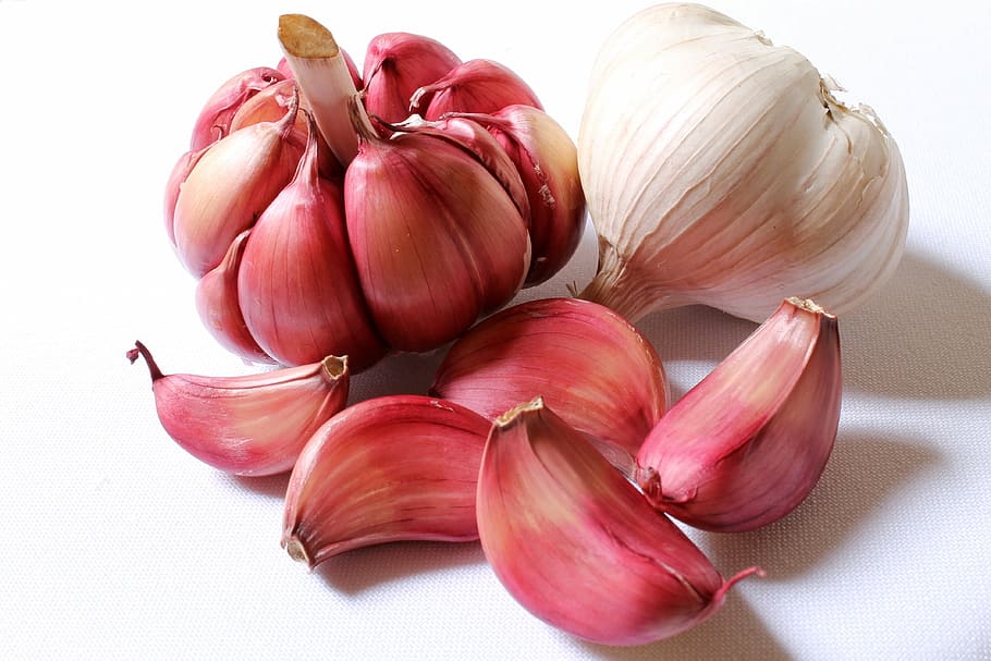 Onion and Garlic, purple garlic, head of garlic, clove of garlic