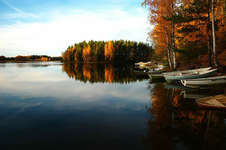 four boats docked near land surrounded by green leaf trees, boats docked on the body of water near yellow and green trees HD wallpaper