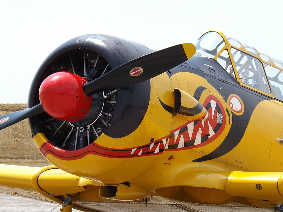 airshow, aircraft, combat, second war, meeting, propeller, army HD wallpaper