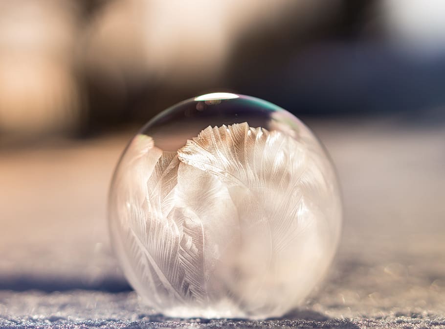 selective photo of feather snow globe, blur, close, soap bubble HD wallpaper